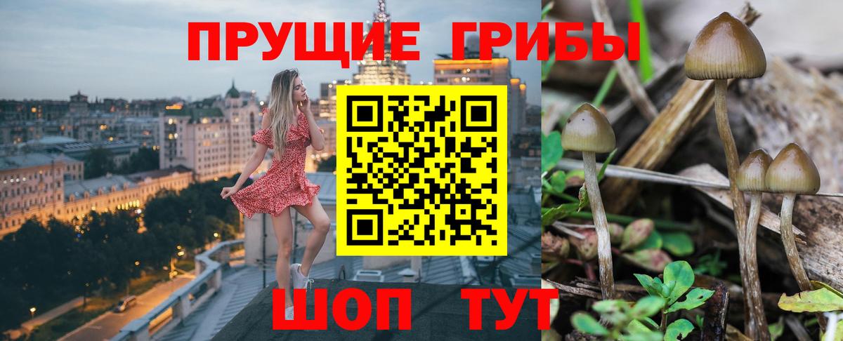 Псилоцибиновые грибы GOLDEN TEACHER  Галлюциногенные грибы MAGIC MUSHROOMS  Вход с VPN  Новочебоксарск 
